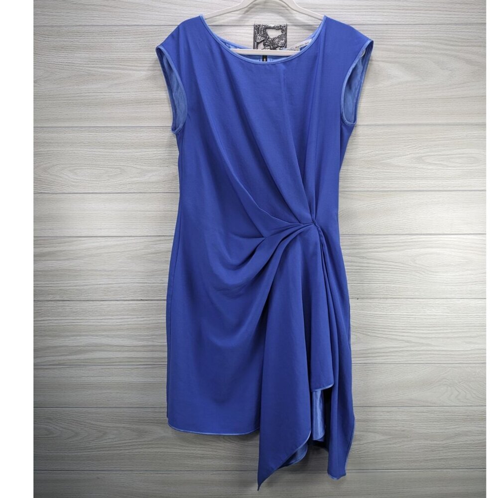 Rachel Roy Periwinkle Dress